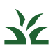 A green plant logo on a black background.