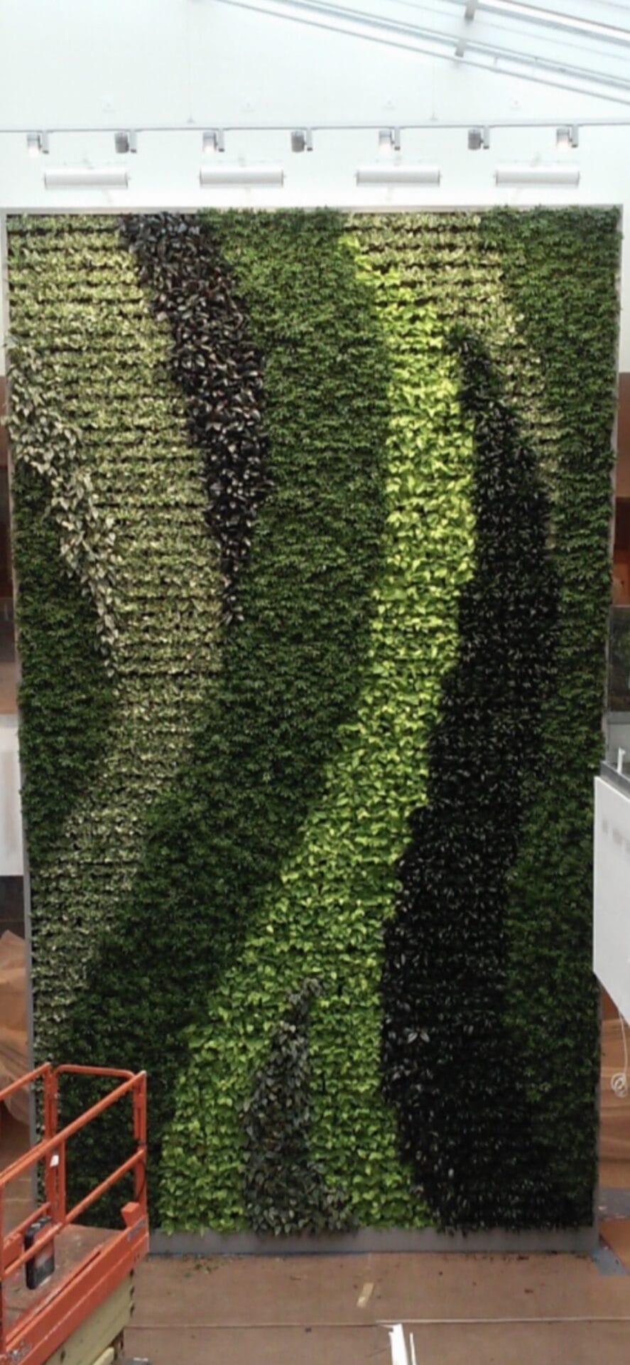 A vertical Green living wall installation
