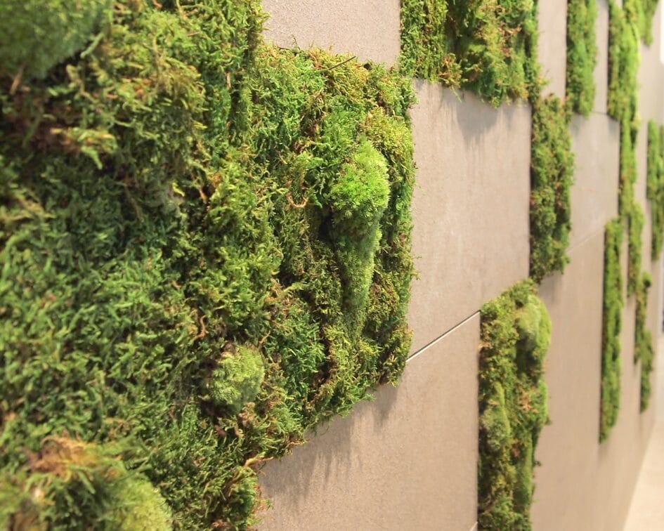 GreenMountain GreenWalls - Moss Wall Panels