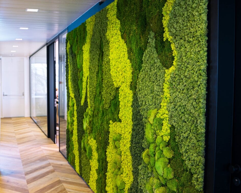 GreenMountain GreenWalls - Preserved Moss Walls; Moss Wall Panels goes to Vermont and New York
