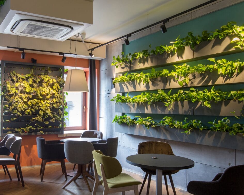 GreenMountain GreenWalls - Ideal Indoor Plants
